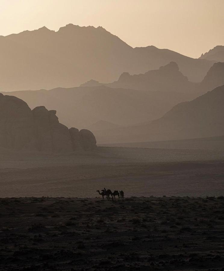 Wadirum Zeid Camp&Tours Ram Vadisi Dış mekan fotoğraf