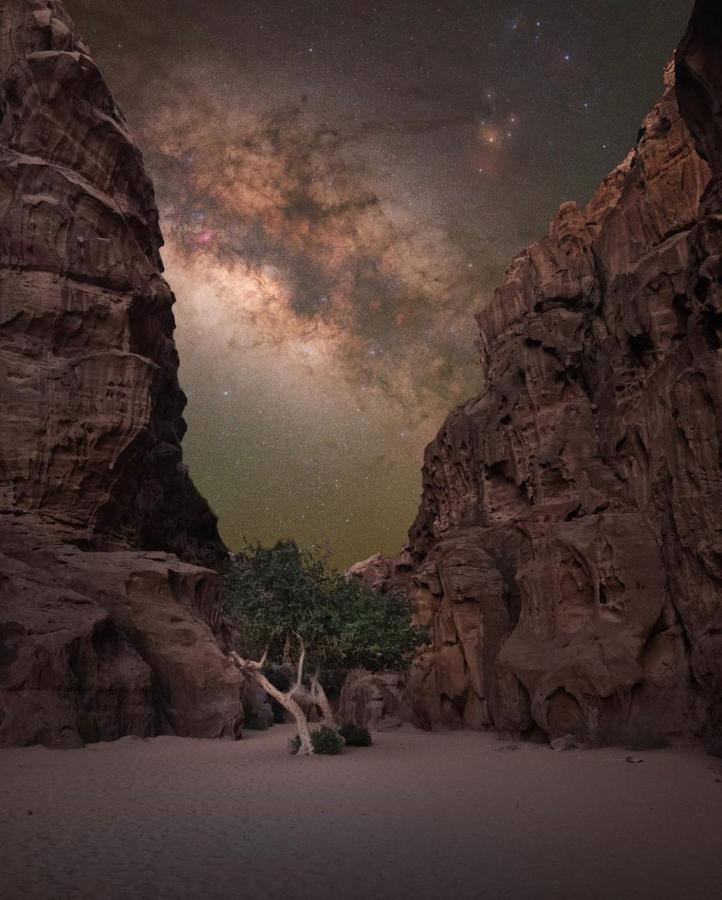 Wadirum Zeid Camp&Tours Ram Vadisi Dış mekan fotoğraf