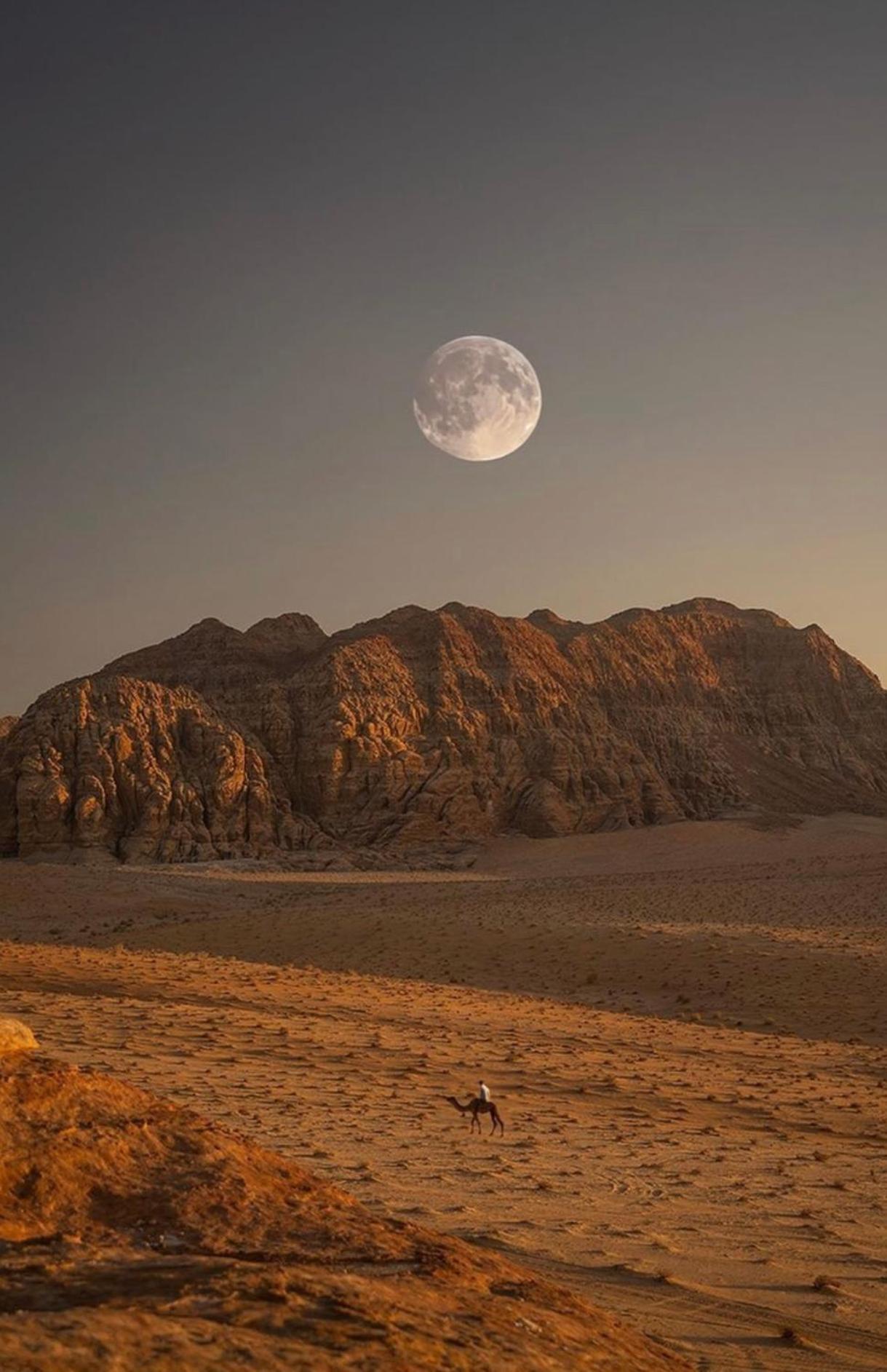 Wadirum Zeid Camp&Tours Ram Vadisi Dış mekan fotoğraf