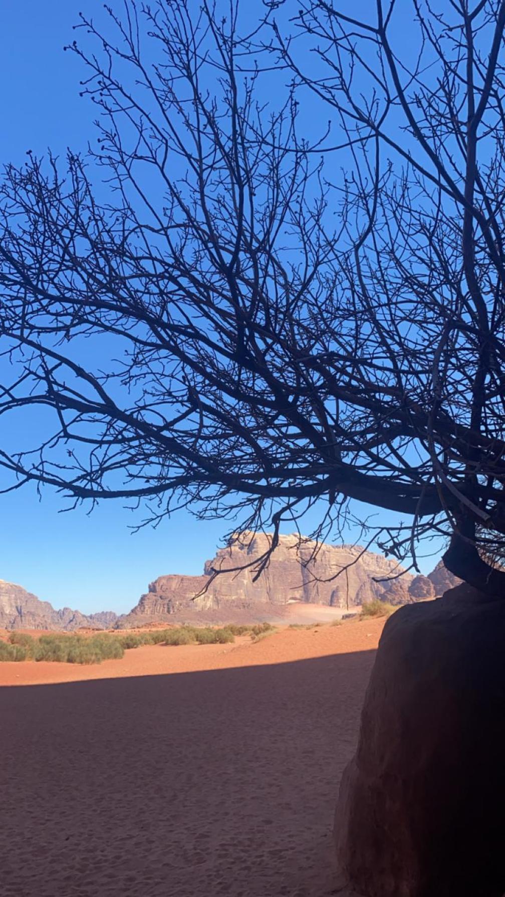 Wadirum Zeid Camp&Tours Ram Vadisi Dış mekan fotoğraf